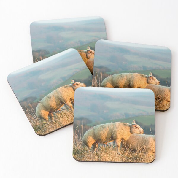 Item preview, Texel Sheep III designed and sold by Jane Stanley Photography.
