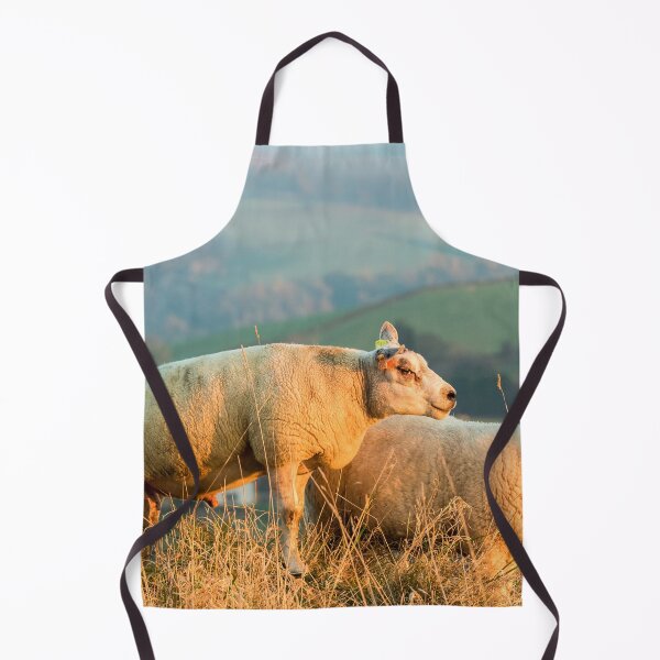 Item preview, Texel Sheep III designed and sold by Jane Stanley Photography.