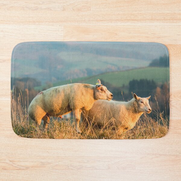 Item preview, Texel Sheep III designed and sold by Jane Stanley Photography.