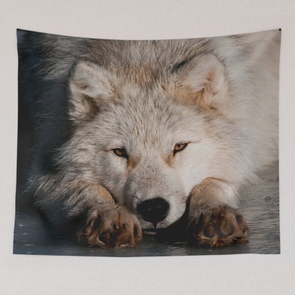 Item preview, Arctic Video designed and sold by Michael Cummings.