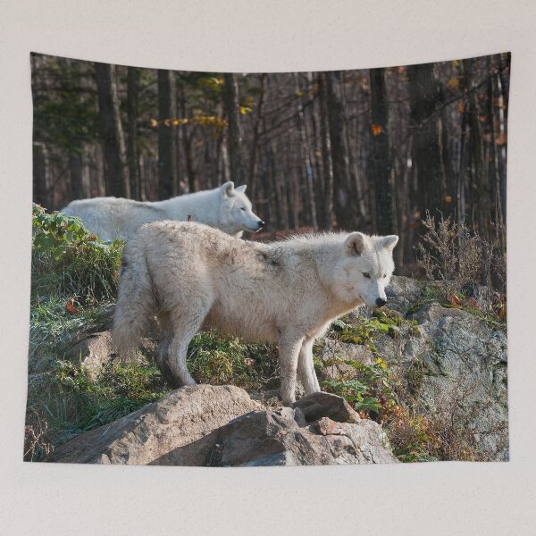 Item preview, Arctic Wolves designed and sold by Michael Cummings.