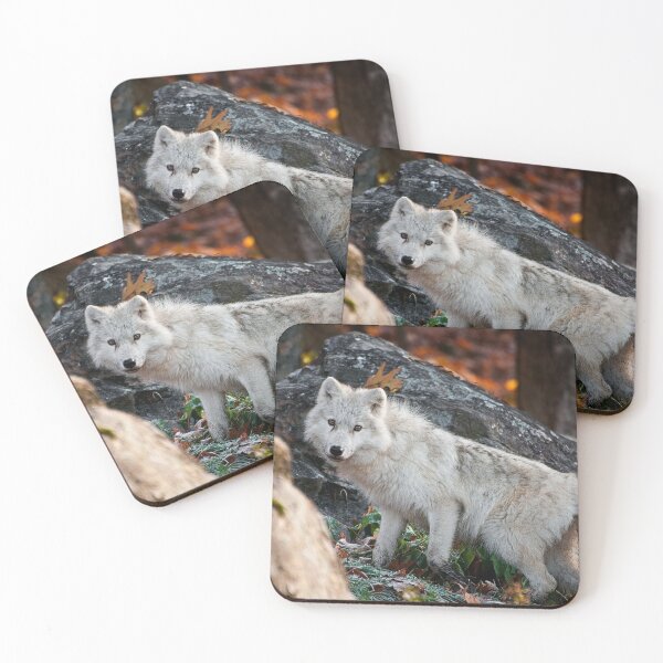Item preview, Arctic Wolf designed and sold by Michael Cummings.