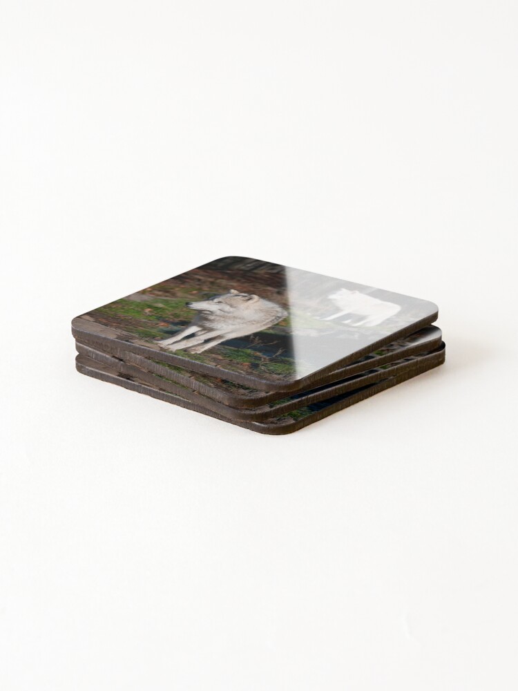 Thumbnail 4 of 5, Coasters (Set of 4), Timber Wolves designed and sold by jaydee1400.