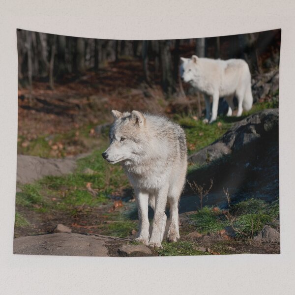 Item preview, Timber Wolves designed and sold by Michael Cummings.