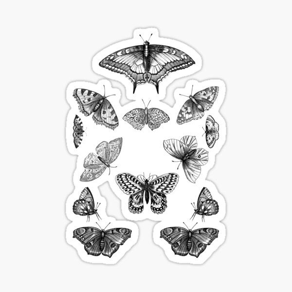 "Butterflies Aesthetic Insects" Sticker for Sale by Chrysoprase Redbubble