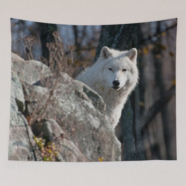 Item preview, Arctic Wolf designed and sold by Michael Cummings.