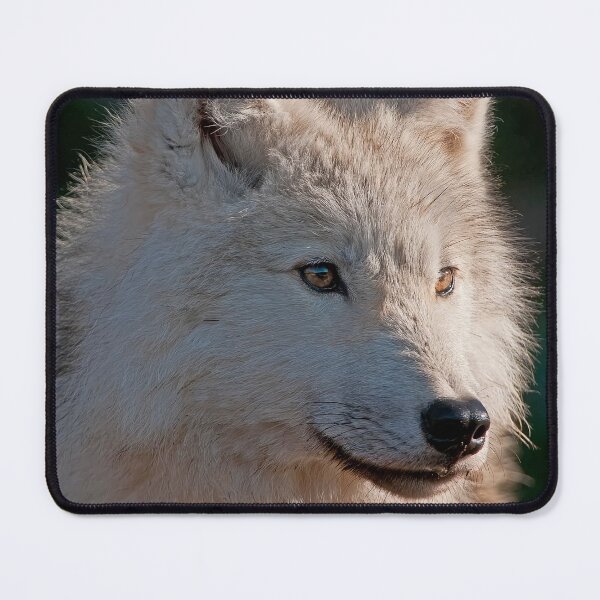Item preview, Arctic Wolf designed and sold by Michael Cummings.
