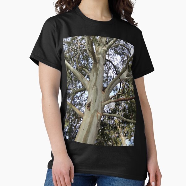 Item preview,  Snow Gum, Mount Buffalo, Victoria, Australia. designed and sold by kaysharp.