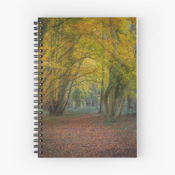 Item preview, A Walk Through The Beech Wood designed and sold by GeraldineCurtis.
