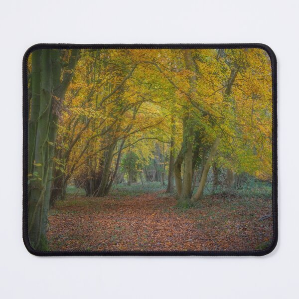 Item preview, A Walk Through The Beech Wood designed and sold by GeraldineCurtis.