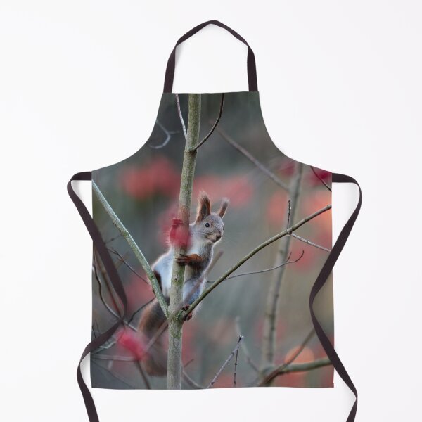 Item preview, With the red rowan berries. Eurasian red squirrel designed and sold by Jouko Lehto Photography.