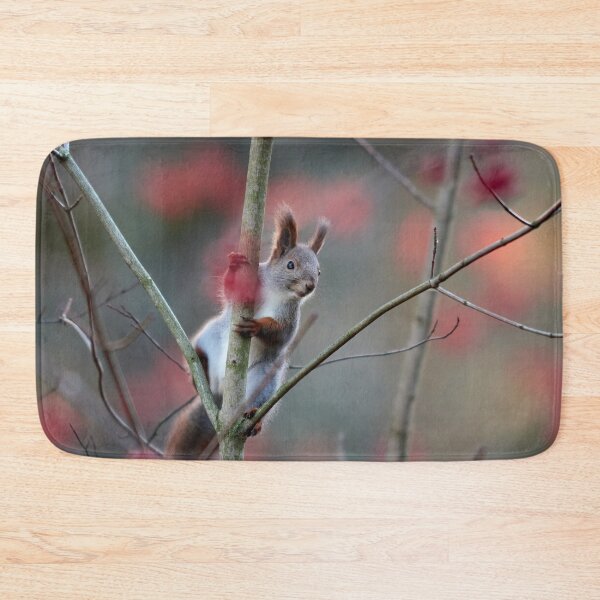 Item preview, With the red rowan berries. Eurasian red squirrel designed and sold by Jouko Lehto Photography.