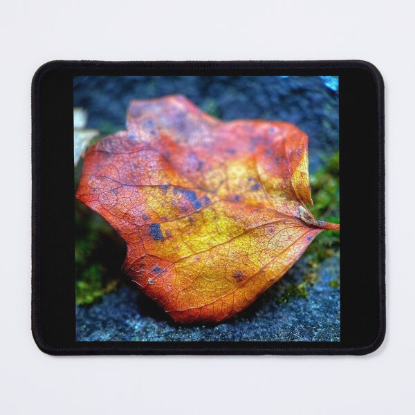 Item preview, The Fall designed and sold by Jason Tompkins.