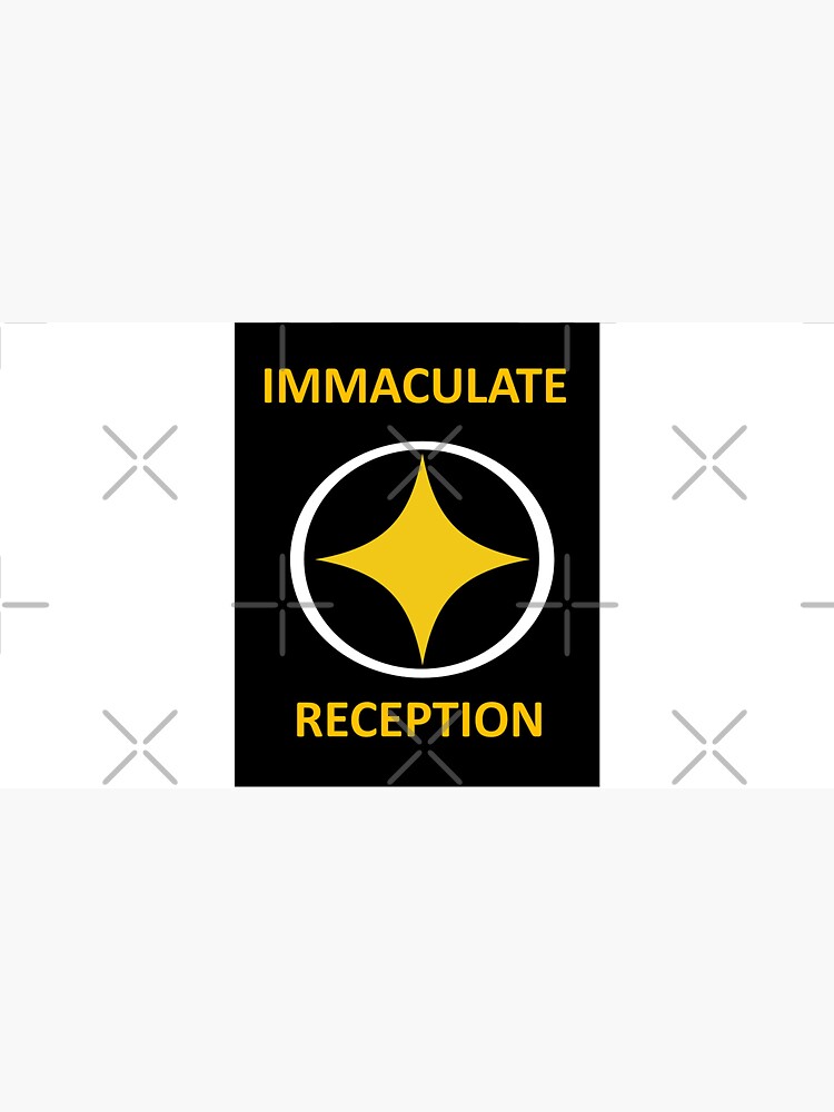 Pittsburgh Steelers Immaculate Reception Collection, T-Shirts, Hats,  Collectibles