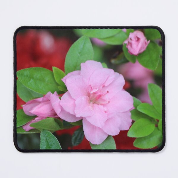 Item preview, Large Pink Azalea Flower designed and sold by JariHawk.