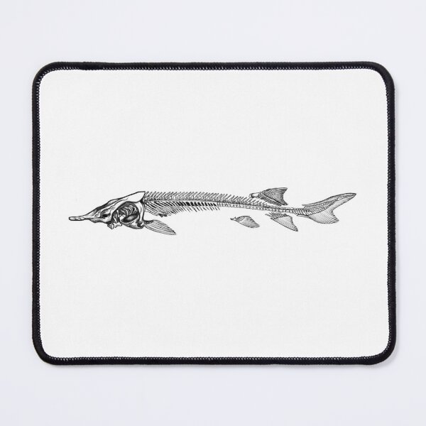 Great Lakes Sturgeon Poster for Sale by Natalie Zysk