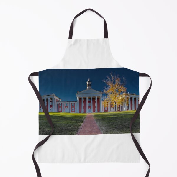 Item preview, Washington and Lee University Colonnade designed and sold by nbrandsberg.