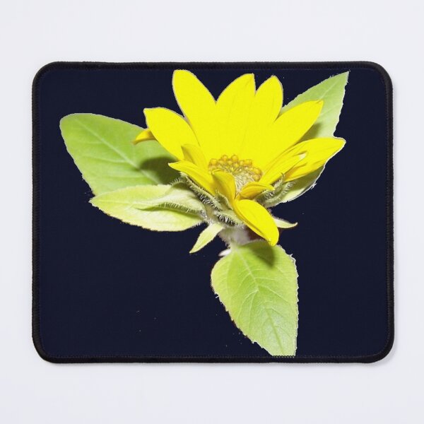 Item preview, Mini Indoor Windowsill Sunflower designed and sold by DianeBP.