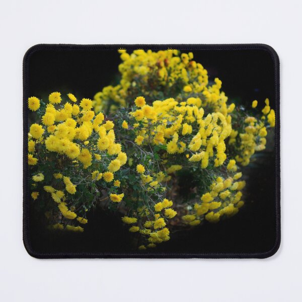 Item preview, Yellow flowers on balck background designed and sold by olena2552.