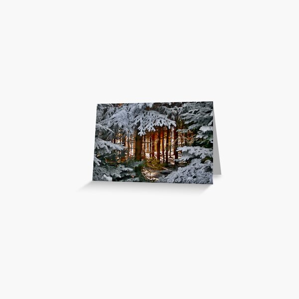 Serenity On The Lake Greeting Card