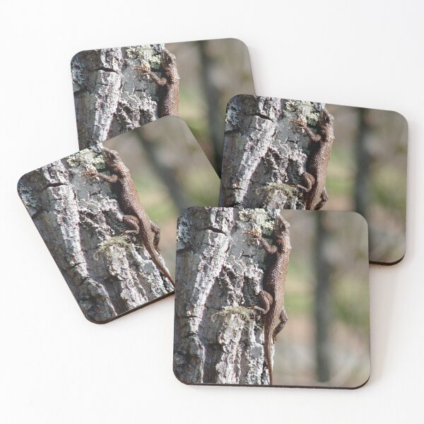 Item preview, Basking Eastern Fence Lizard designed and sold by Jean Gregory Evans.