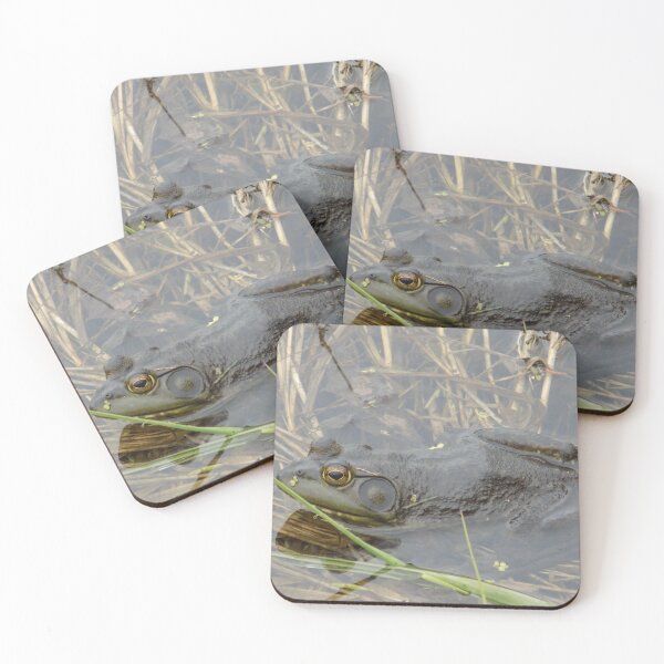 Item preview, American Bullfrog Waterside designed and sold by DragonCGallery.