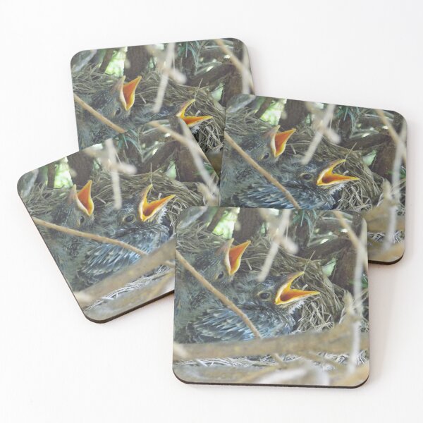 Item preview, Baby Robins in Nest designed and sold by DragonCGallery.