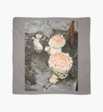 Toadstools Scarf