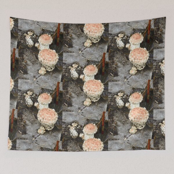 Item preview, Toadstools designed and sold by Shulie1.