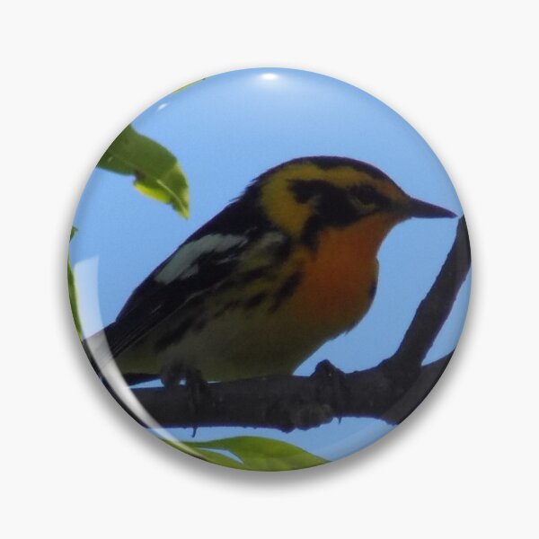 Item preview, Blackburnian Warbler Side-View designed and sold by DragonCGallery.