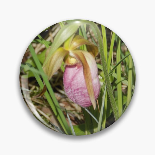 Item preview, Pink Ladyslipper Floración temprana designed and sold by DragonCGallery.