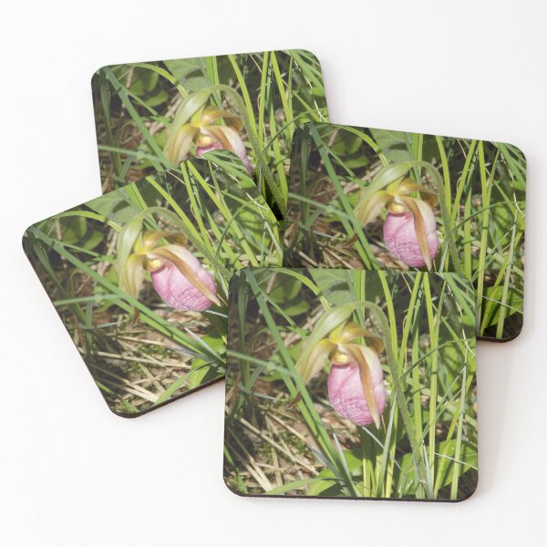 Item preview, Pink Ladyslipper Early Bloom designed and sold by DragonCGallery.