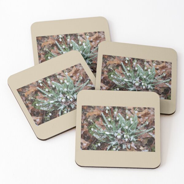 Item preview, Early Snowdrop Flowers with Snow designed and sold by JariHawk.