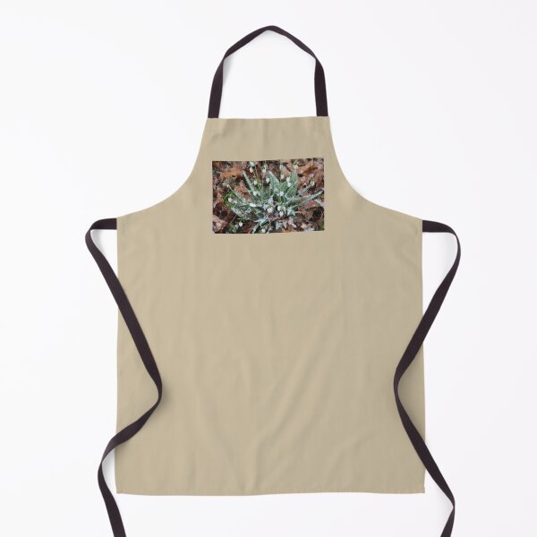 Item preview, Early Snowdrop Flowers with Snow designed and sold by JariHawk.