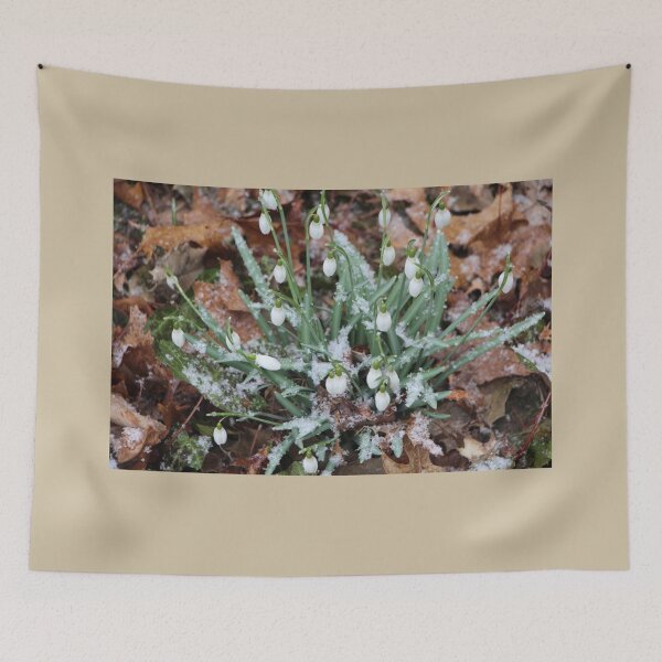 Item preview, Early Snowdrop Flowers with Snow designed and sold by JariHawk.