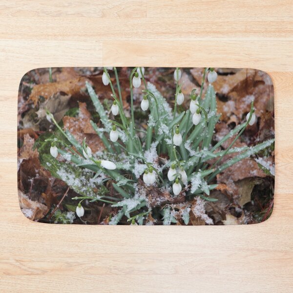 Item preview, Early Snowdrop Flowers with Snow designed and sold by JariHawk.