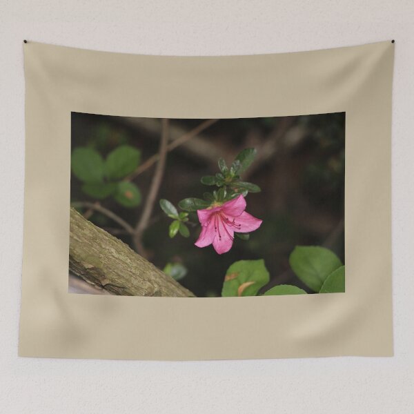 Item preview, Solitary Bright Pink Azalea Flower Night Time Bush designed and sold by JariHawk.