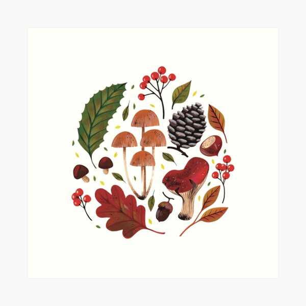 Mushrooms Art Print