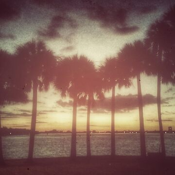 Artwork thumbnail, 8 Palms by kinkatstyle