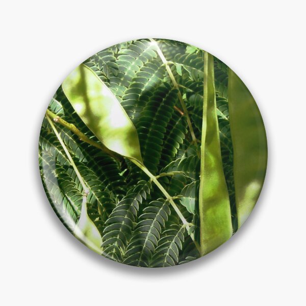 Item preview, Mimosa seeds and leaves designed and sold by Shulie1.