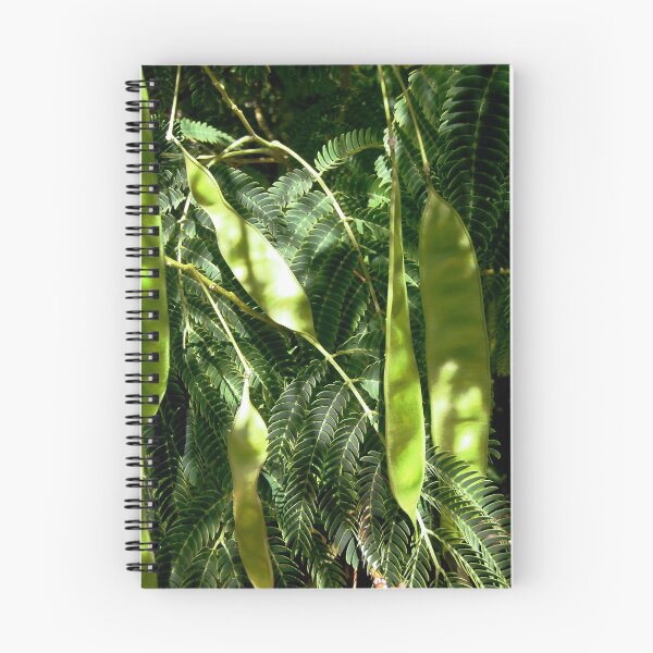 Item preview, Mimosa seeds and leaves designed and sold by Shulie1.