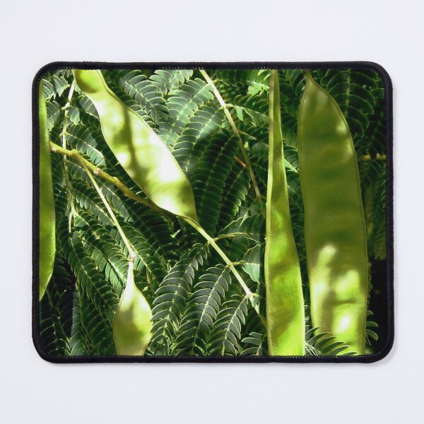 Item preview, Mimosa seeds and leaves designed and sold by Shulie1.