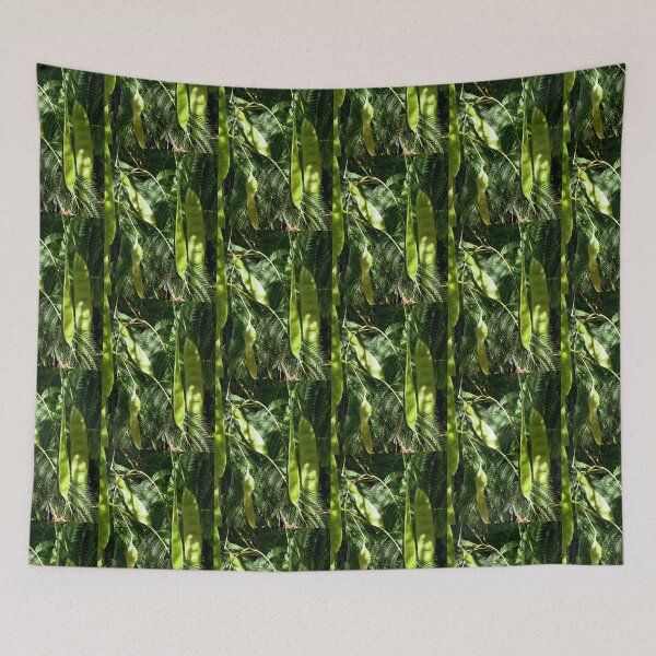 Item preview, Mimosa seeds and leaves designed and sold by Shulie1.