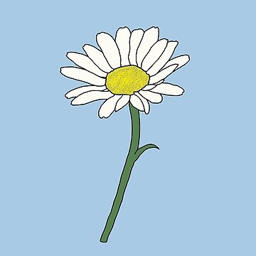 Petal Drawing Advanced - Daisy Flower Drawing Clipart - Large Size Png  Image - PikPng
