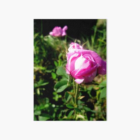 Pretty in Pink Art Board Print