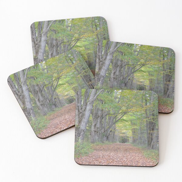 Item preview, Romantic walk in the woods  designed and sold by NorthernSnappy.