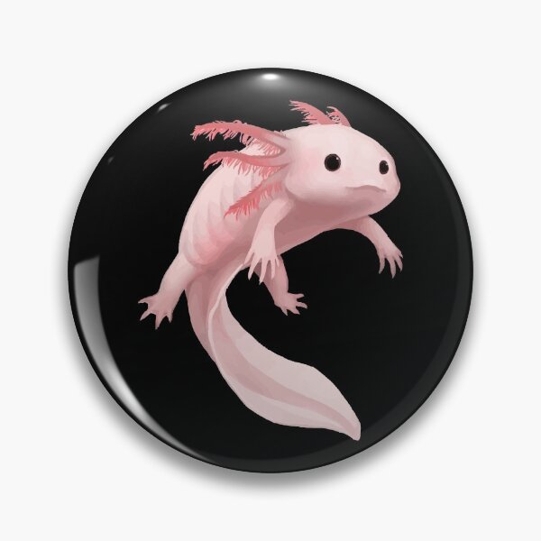 Item preview, Axalotl - Ambystoma mexicanum - Mexican walking fish - Axolotl designed and sold by AquariumExp.