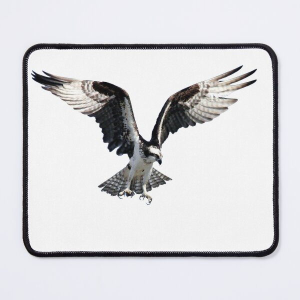 Item preview, eagle sweatshirt designed and sold by ZANTRART.