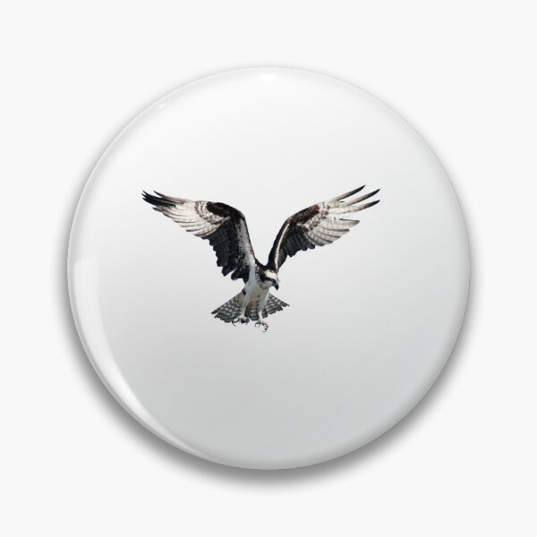 Item preview, eagle sweatshirt designed and sold by marmothel.