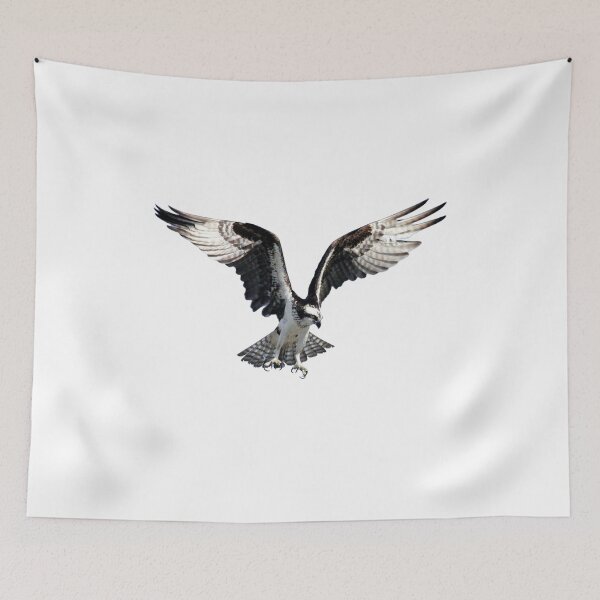 Item preview, eagle sweatshirt designed and sold by marmothel.